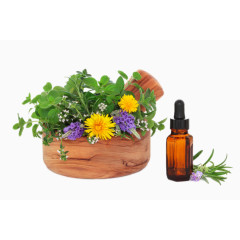 SPA木盘里的花草