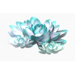 手绘花草素材花卉背景素材