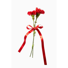 康乃馨花母亲节节日素材装饰礼物插画 