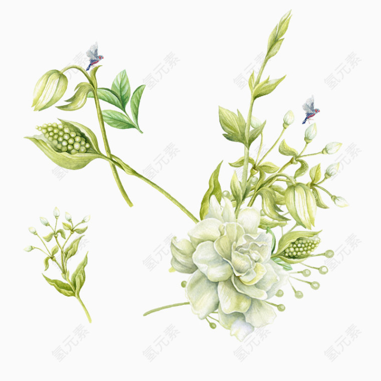 小清新花卉植物精美PNG素材
