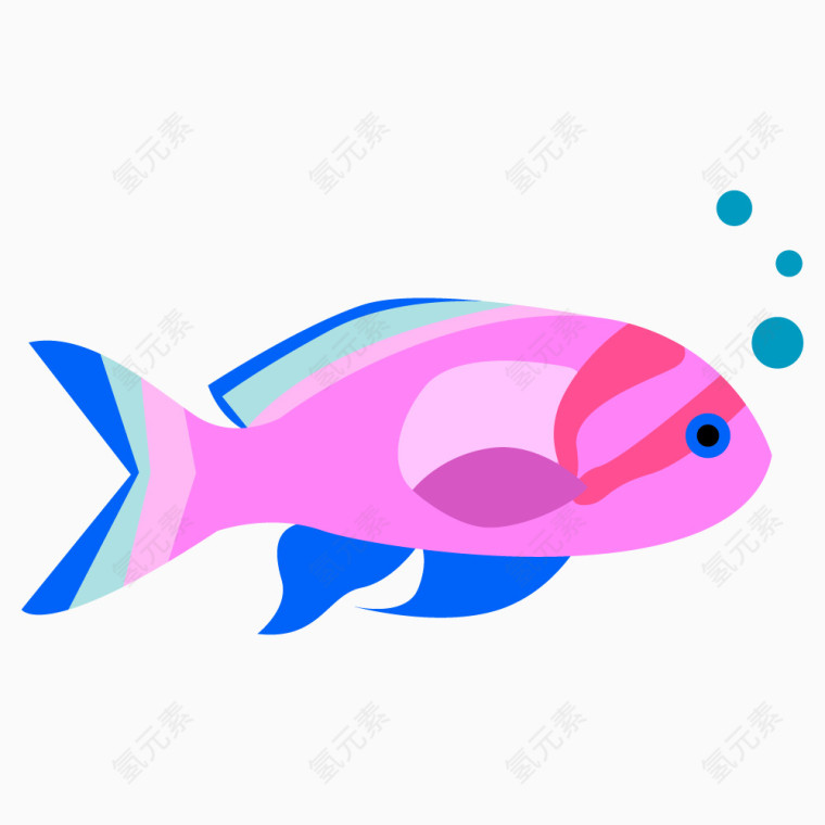 彩色海洋鱼