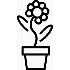 丰富多彩的花绿色草本植物叶自然向日葵planticons