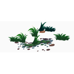 杂草丛生的草地