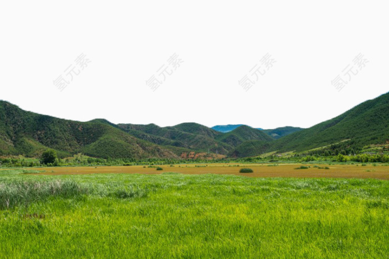 泸沽湖草海风景五