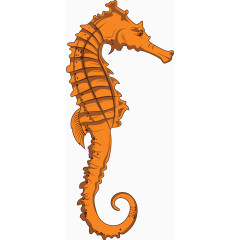 橙色手绘海马