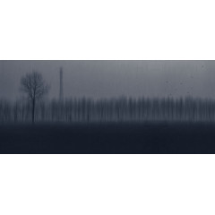 背景  图案  风格