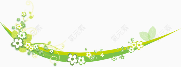 蝴蝶花朵花卉