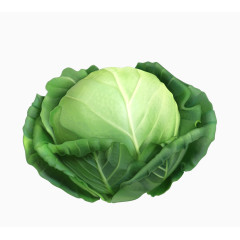 手绘蔬菜 食物 水果