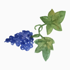 手绘水彩葡萄图片