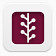新闻专线标志广场infocus-sidebar-social-icons
