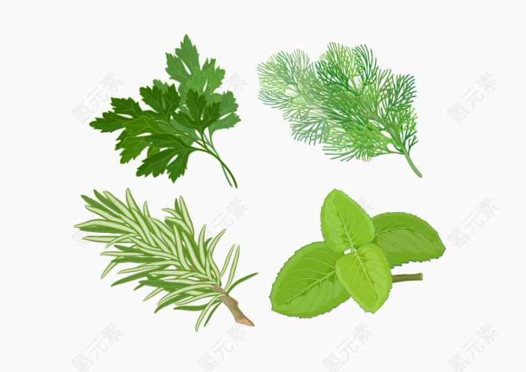 草药