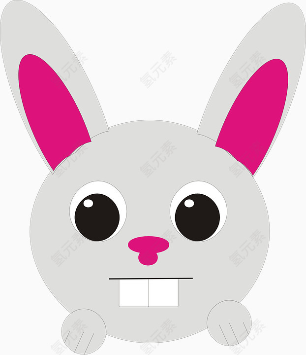 动物世界长粉兔牙齿