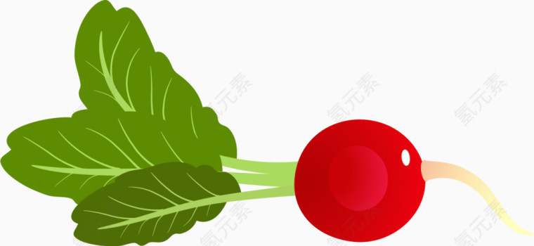 卡通手绘圆萝卜 