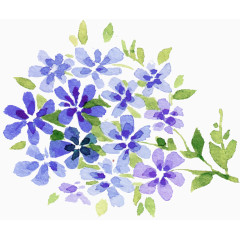 蓝色卡通手绘花朵植物