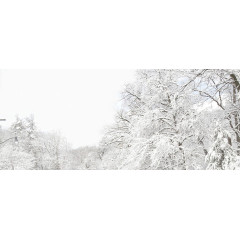 冬天雪景海报背景