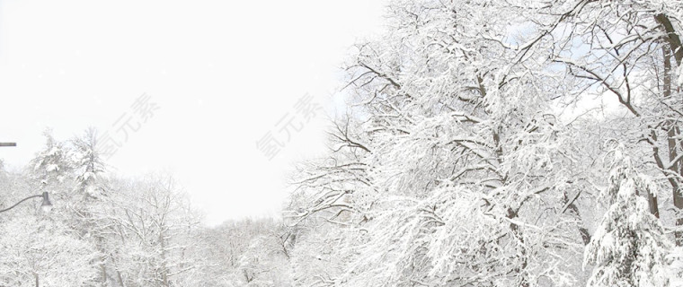 冬天雪景海报背景