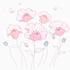 粉色荷花叶蝴蝶