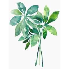 水彩绿植
