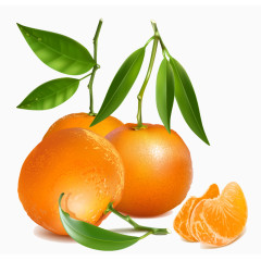 带水滴的新鲜桔子