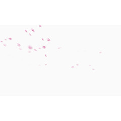 花瓣，花叶，花，粉色花瓣，淘宝素材