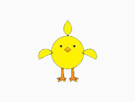 小黄鸡