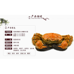 大闸蟹产品特性介绍详情图