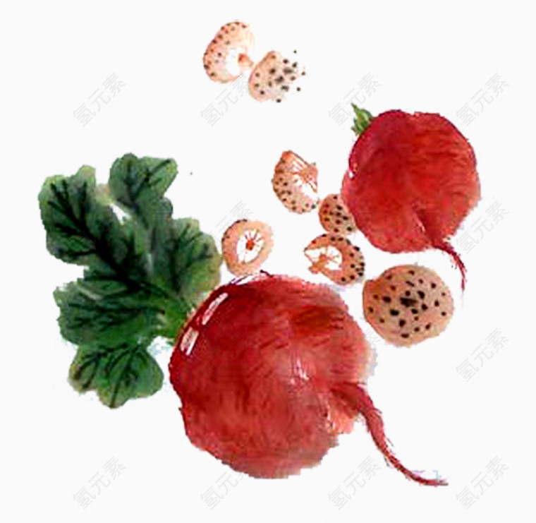 手绘蔬菜