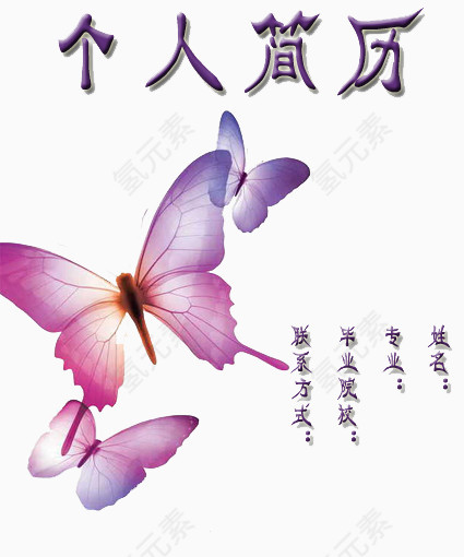 蝴蝶装饰个人简历设计