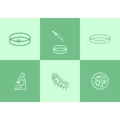 细菌和检测工具