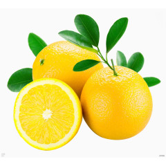 黄色清新橙子装饰图案