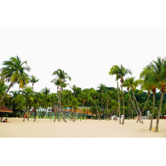 圣淘沙西乐索海滩