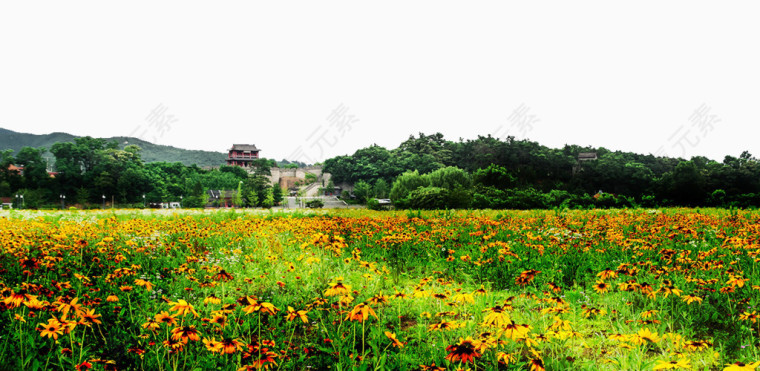 鸭绿江风景