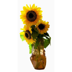 向日葵插花