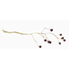 细枝图片素材 干枝花艺