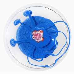 蓝色细胞的培养皿