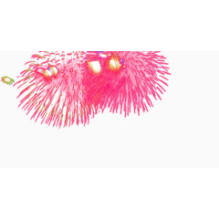 绚丽的烟花