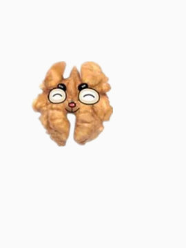 核桃仁