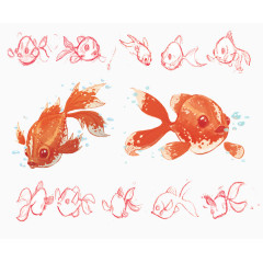 手绘各种形态金鱼