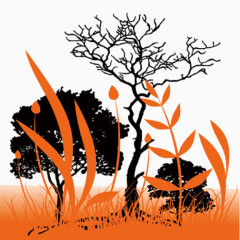 橙色的自然背景季节