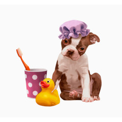 卡通洗澡宠物狗