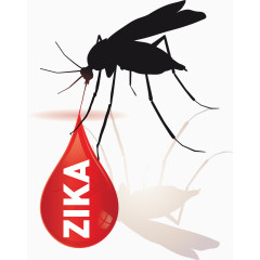 zika  病毒  蚊子