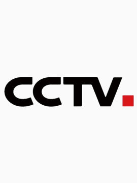 CCTV标志