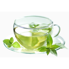 绿色薄荷叶透明茶杯