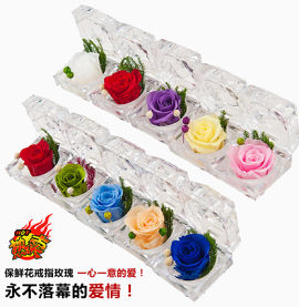 多彩玫瑰花玻璃盒