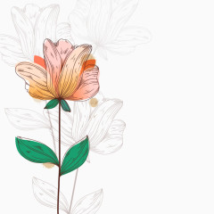 矢量手绘鲜花