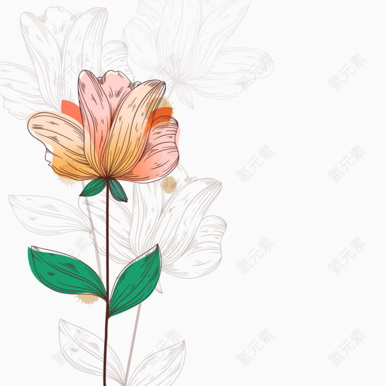矢量手绘鲜花