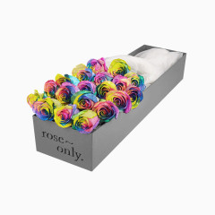 七彩许愿玫瑰鲜花