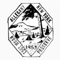 创意菱形手绘标签