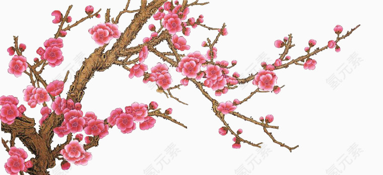 素描梅花
