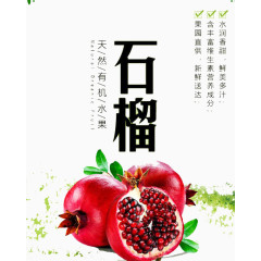 天然有机水果石榴